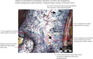 neomorphic calcite cement