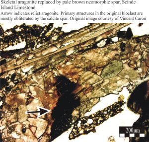 neomorphic calcite