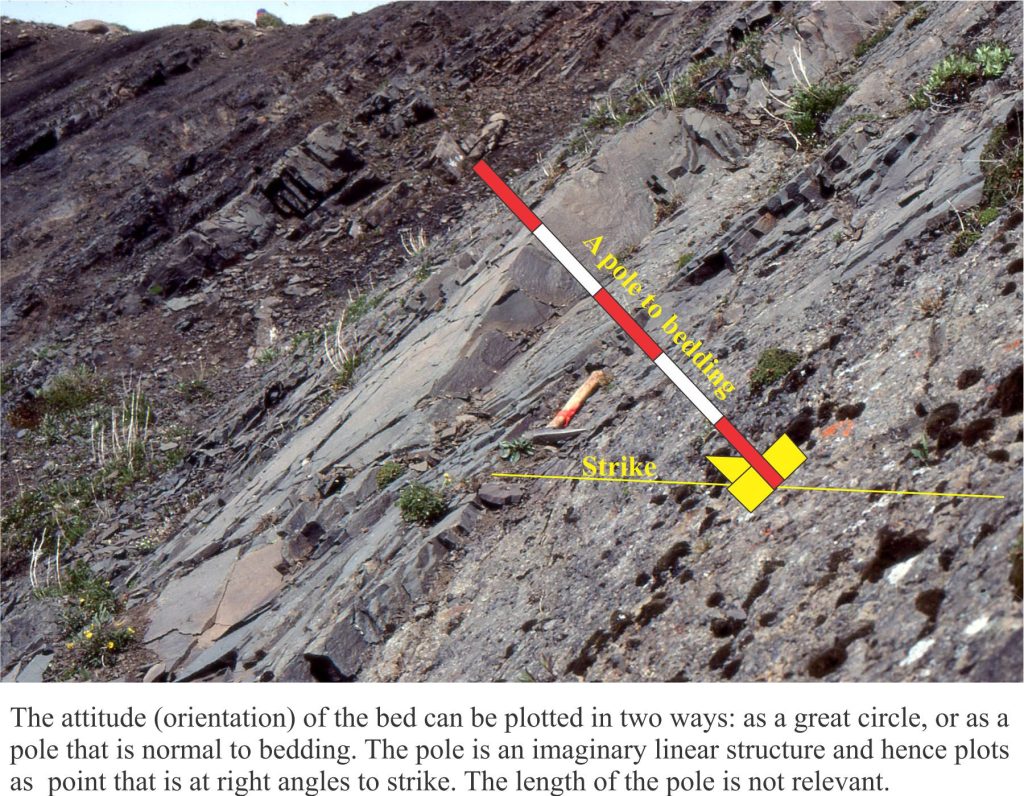 Imagine a pole to oriented normal to bedding. The point of intersection on a great circle contains all the information about the attitude of the bed