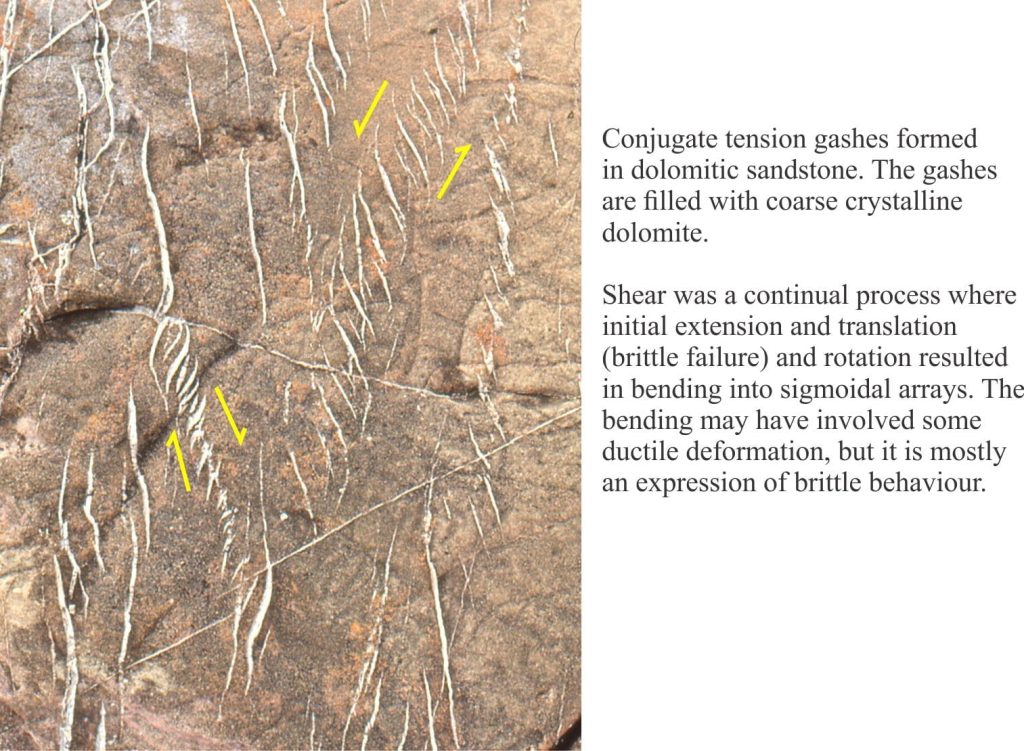 Conjugate, en echelon tension gases in dolomitic sandstone, from which the sense of shear can be determined