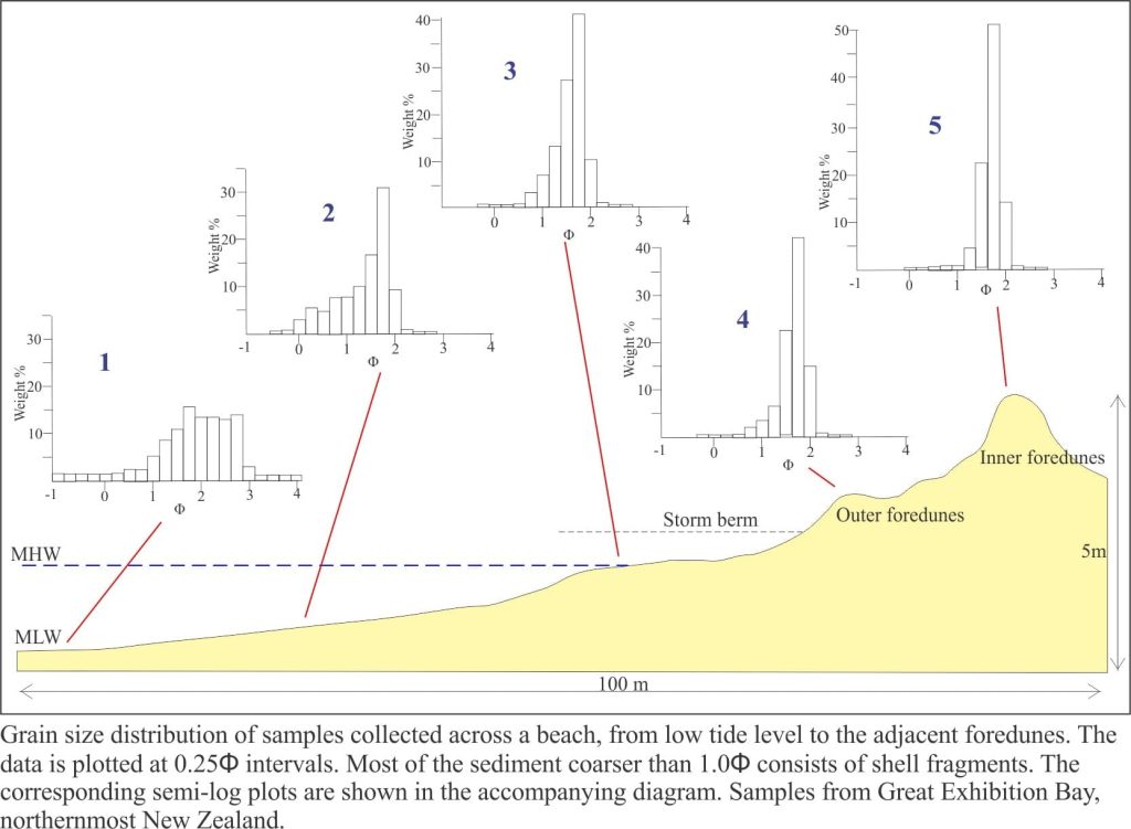 Grain size of beach and foredune sands plotted as histograms of frequency percent versus Phi value