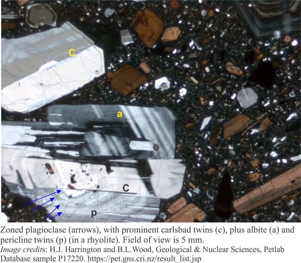 Zoned plagioclase in rhyolite, with albite and carlsbad twins