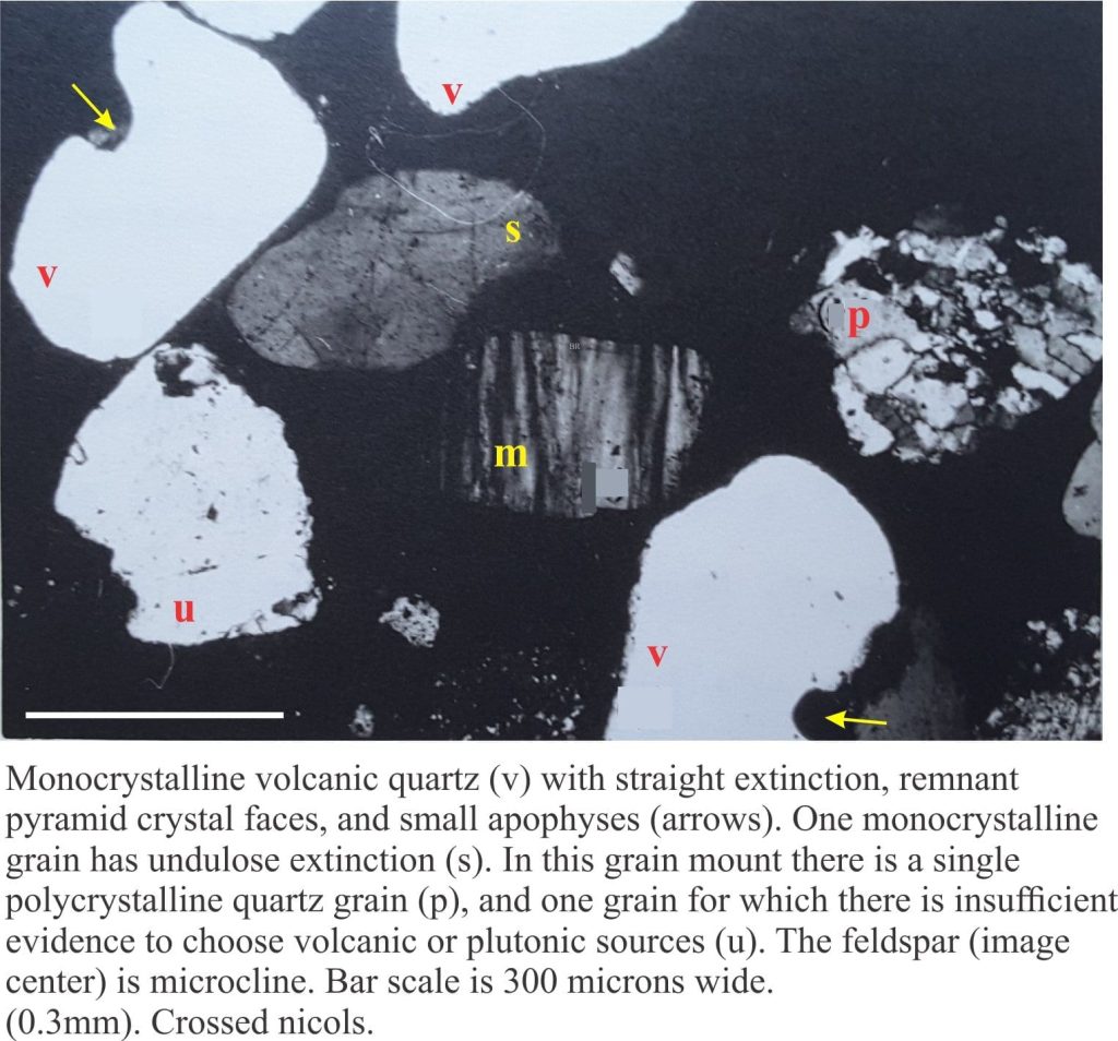 Thin section of two monocrystalline volcanic quartz grains with small apophyses, plus a polycrystalline quartz and microcline feldspar. Crossed nicols and microcline