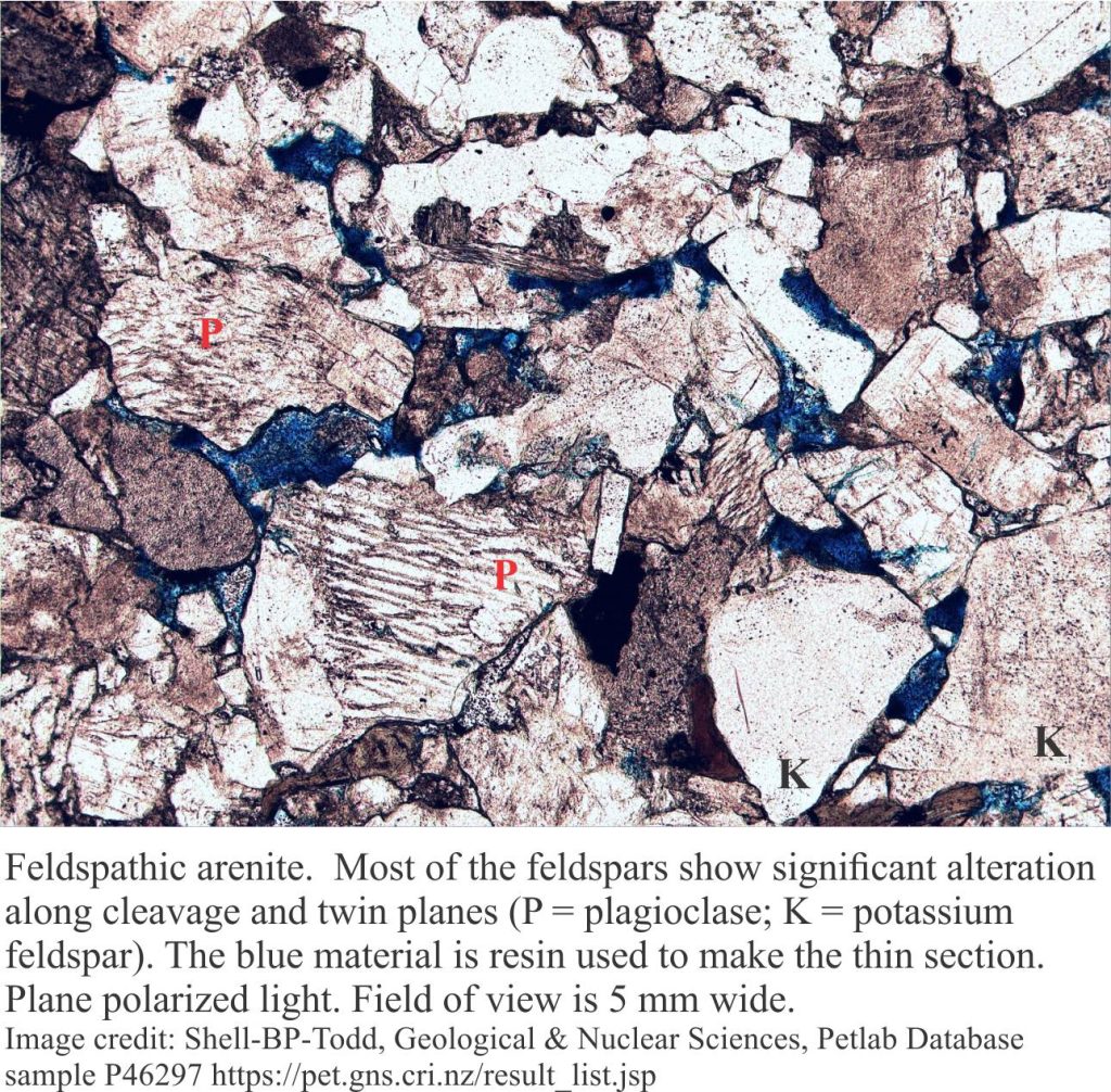 Feldspathic arenite. Most of the feldspars show degrees of alteration. Blue (resin) infills avilable porosity