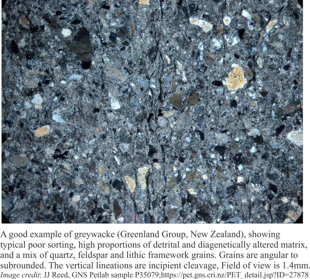 thin section of greywacke