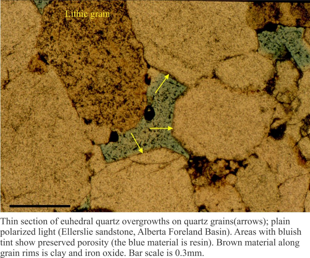 thin section of quartz overgrowths, plain polarised light