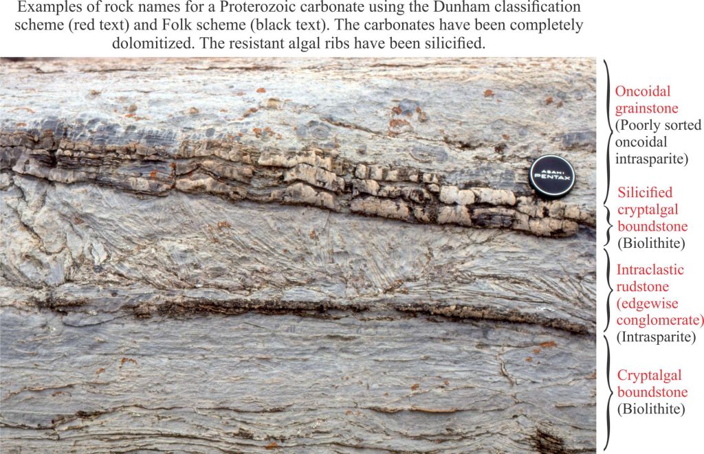 Oncoidal grainstone, cryptalgal boundstone and rudstone in Proterozoic carbonates