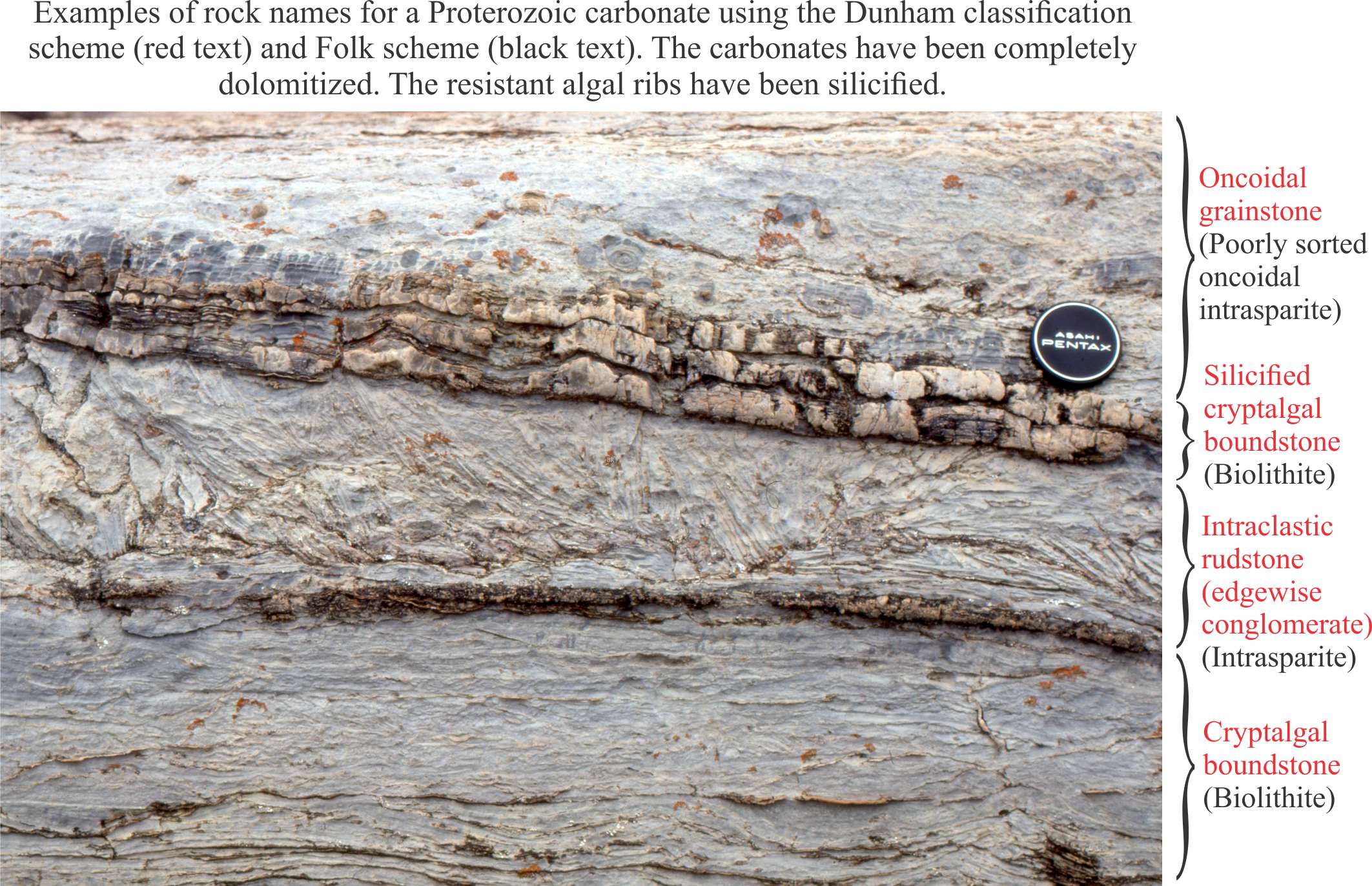 Biosparite