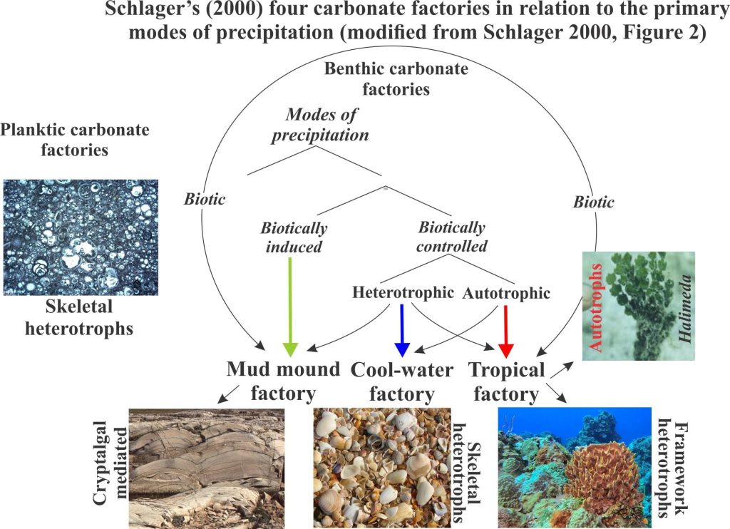 Schlager's four carbonate factories in relation to primary modes of carbonate precipitation