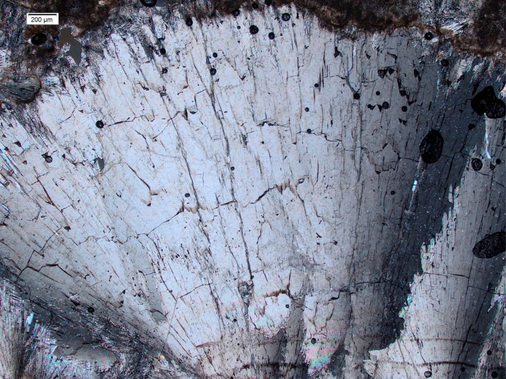 A large aragonite fan, part of a botryoidal cluster where fans range from 1.5 to 5 mm wide. The right side of the fan is in extinction - as the microscope stage is rotated the extinction pattern will sweep across the entire crystal fan. 