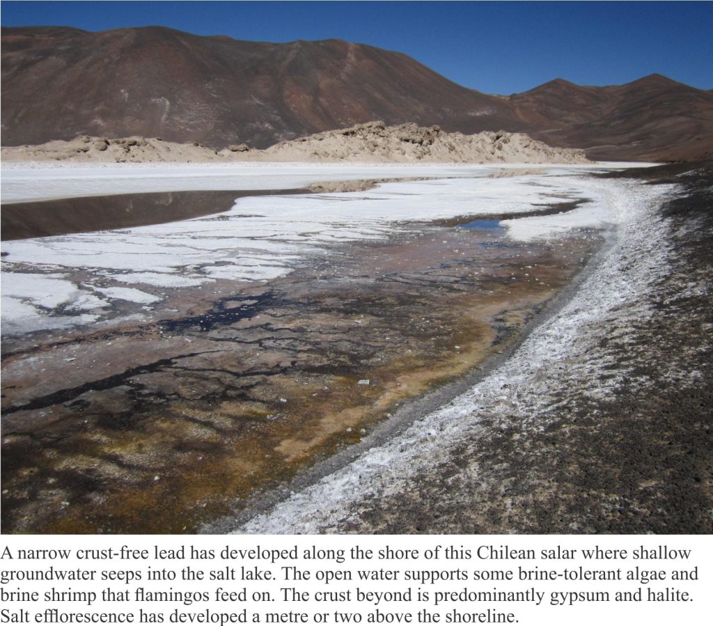 Groundwater seepage along the shoreline of a saline lake, or salar. White crusts are gypsum and halite. Chilean Altiplano. 