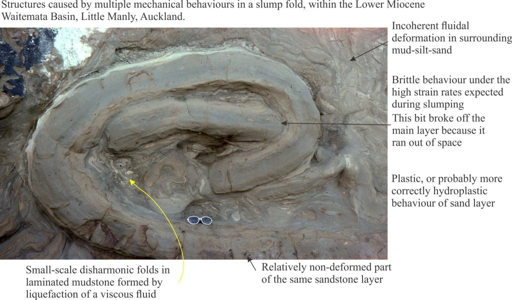 Deformation of turbidite sandstone and mudstone with different rheological behaviours