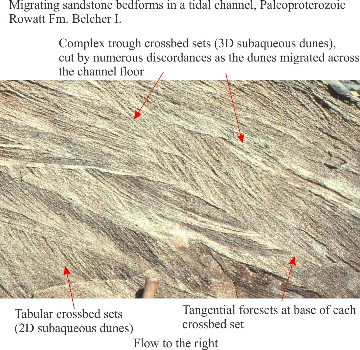 Sedimentary Structures Stromatolites Geological Digre - vrogue.co