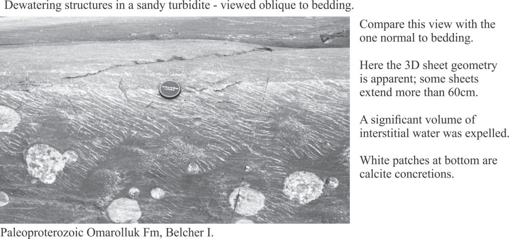 Oblique view of dewatering pillars and sheets. White patches are calcite concretions