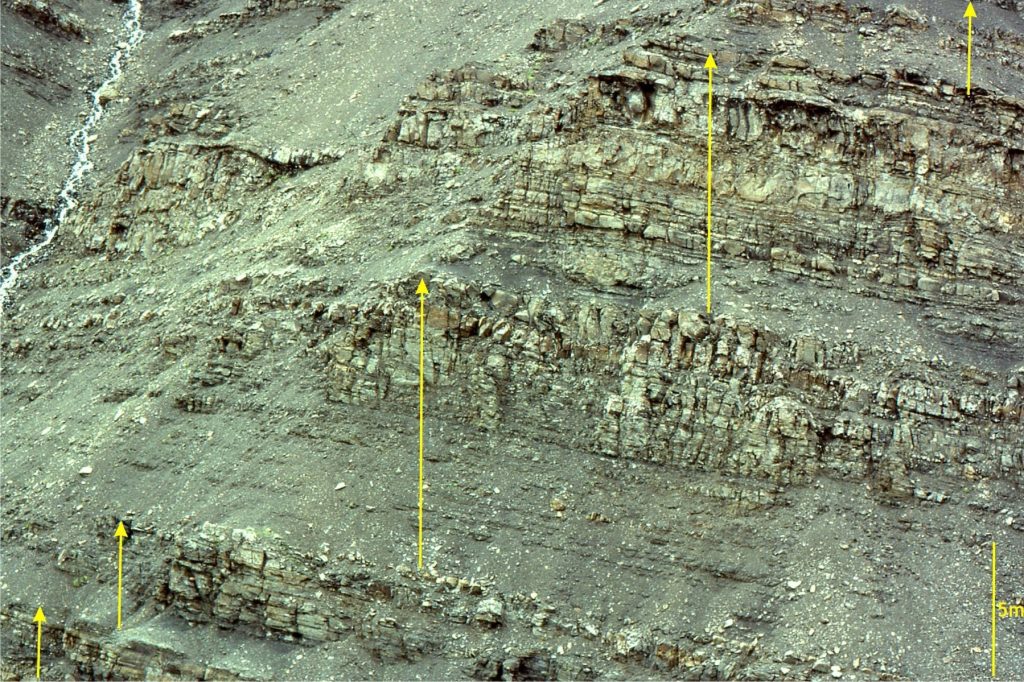 Shallowing upward parasequences in the Jurassic Bowser Basin: each parasequence is a 4th or 5th order cycle superimposed on the regressive stage of a 3rd-order sequence.