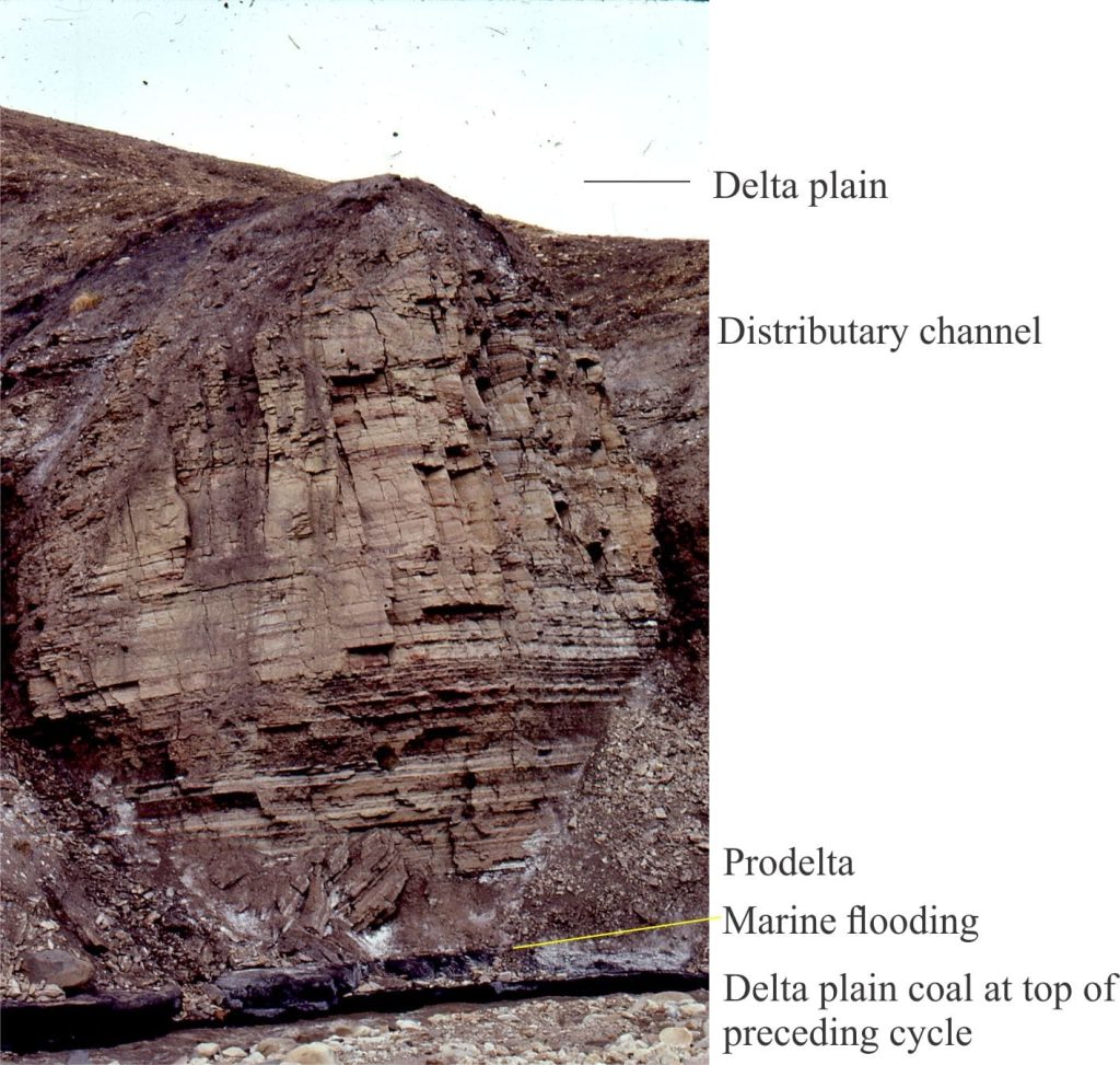 Delta lobe cycles - what is the contribution of autogenic processes?