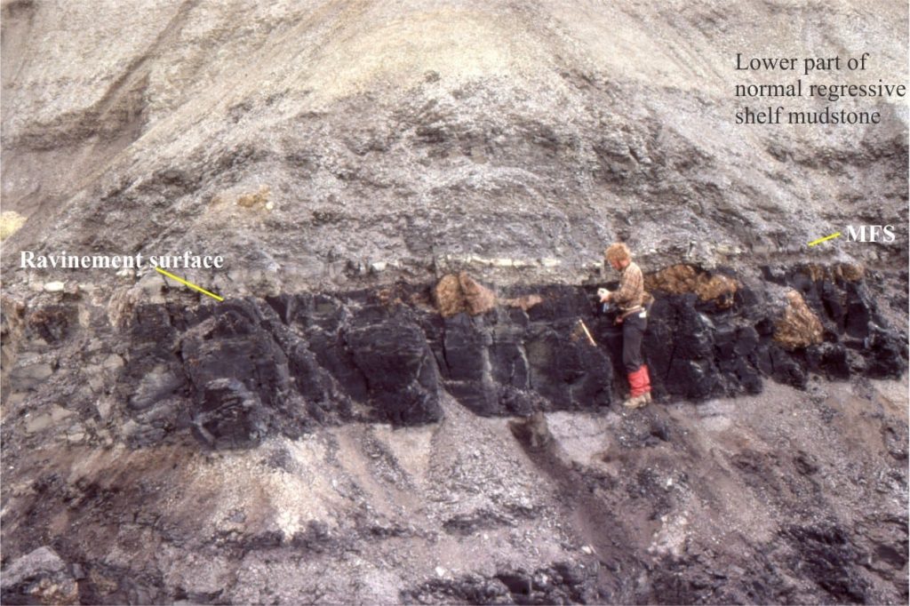 ravinement at coal contact has removed any beach and shoreface deposits, and is instead overlain by thin silty sandstones. The top of these sandstones is inferred to be a MFS. Above the MFS is a thick unit of normal regressive mudstone (HST). Eocene, Ellesmere Island.