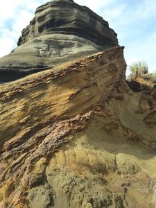 Same location as image above. The dipping surface is the valley margin, cut into Pleistocene dunes. The weathered profile in the lower dune sands contains abundant limonite-goethite hard-pans that developed from water seepage.