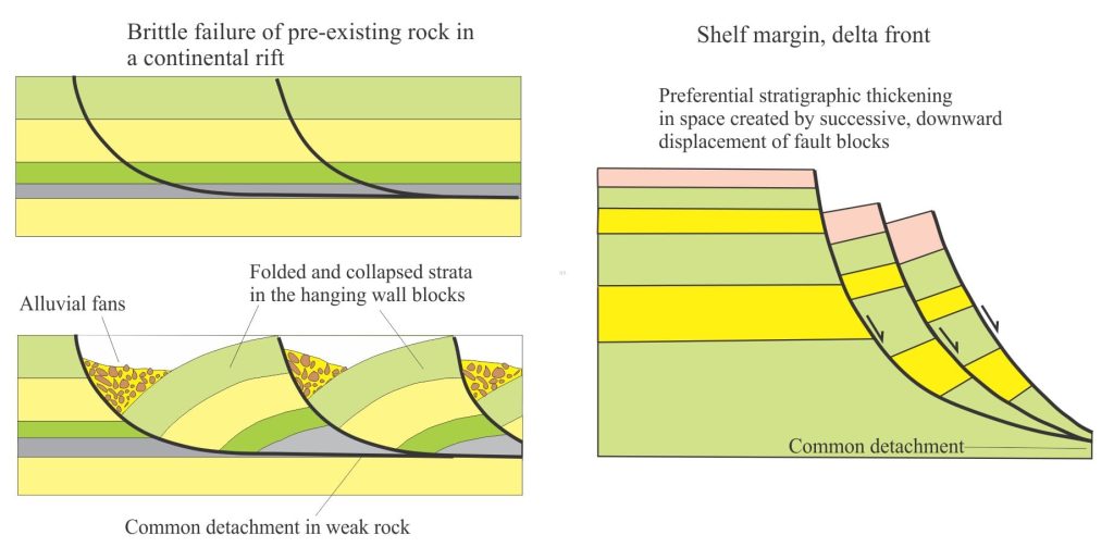 Listric faults Listric faults have normal dip-slip (or oblique-slip) displacements but are characterized by concave upward fault surfaces. They have steep dips near the surface, flattening at depth in a detachment surface that is common to other faults. Like most other fault types, they can occur at crustal scales (they are characteristic of continental rifts), or at smaller scales in depositional systems such as deltas. This style of rotational displacement is also common in slumps. Listric faults are a product of extension. During displacement, the hanging wall block either rotates towards the foot wall or collapses into the space created by extension. Episodic displacement, a common occurrence in listric faults, produces increasingly angular discordances at the hanging wall block surface, resulting in multiple angular unconformities in overlying stratigraphic packages. The term growth fault is often used where deposition is relatively continuous during fault displacement, a common occurrence in many thick delta systems. Thanks to Dr Kate Pedley, University of Canterbury for permission to use the 2016 fault scarp image. 