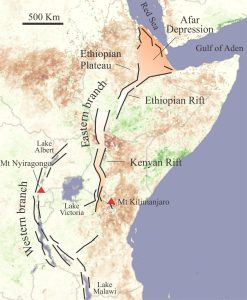 EARS extensional faults from Afar Depression south, that distinguish the eastern and western branches of the rift zone. Base image from NASA