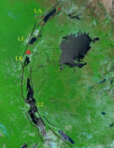 MODIS image (2002) of the western branch of East Africa Rift (EARS). The lakes are contained within fault basins (black lines are approximate fault traces). Nyiragongo volcano is indicated by the red triangle. Lake Victoria lies between the western and eastern branches of EARS. LA = Lake Albert; LE = Lake Edward; LK = Lake Kivu, LT = Lake Tanganyika. The east-west view is about 1200 km.