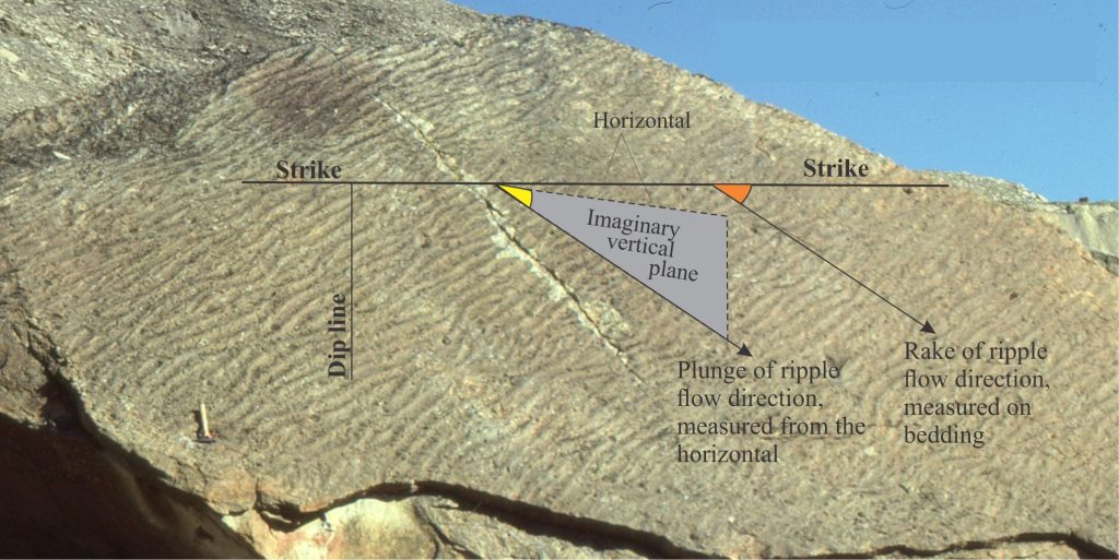 Graphical representation of plunge and rake on a bedding plane containing current ripples.