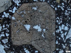 Two prominent sets of cleavage typical of pyroxene, that intersect almost at right angles in sections oriented perpendicular to the c-axis. Plain polarised light.