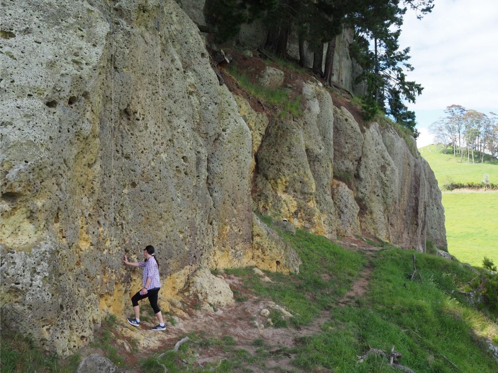 A more-or-less massive ignimbrite, at least 10 m thick (base not exposed) with no obvious stratification or clast-size grading. At this locality it is mostly nonwelded. The pits have formed by erosion of pumice fragments. This PDC is about 1.6 Ma.