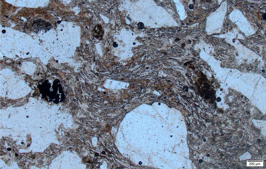 Welded Ongatiti Ignimbrite (same location as above). Prominent flow textures and flattening of glass shards occurred while the glass temperature was high enough to sustain ductile behaviour. The ragged phenocrysts are plagioclase, broken during eruption or during turbulent transport in the PDC. Plain polarized light.