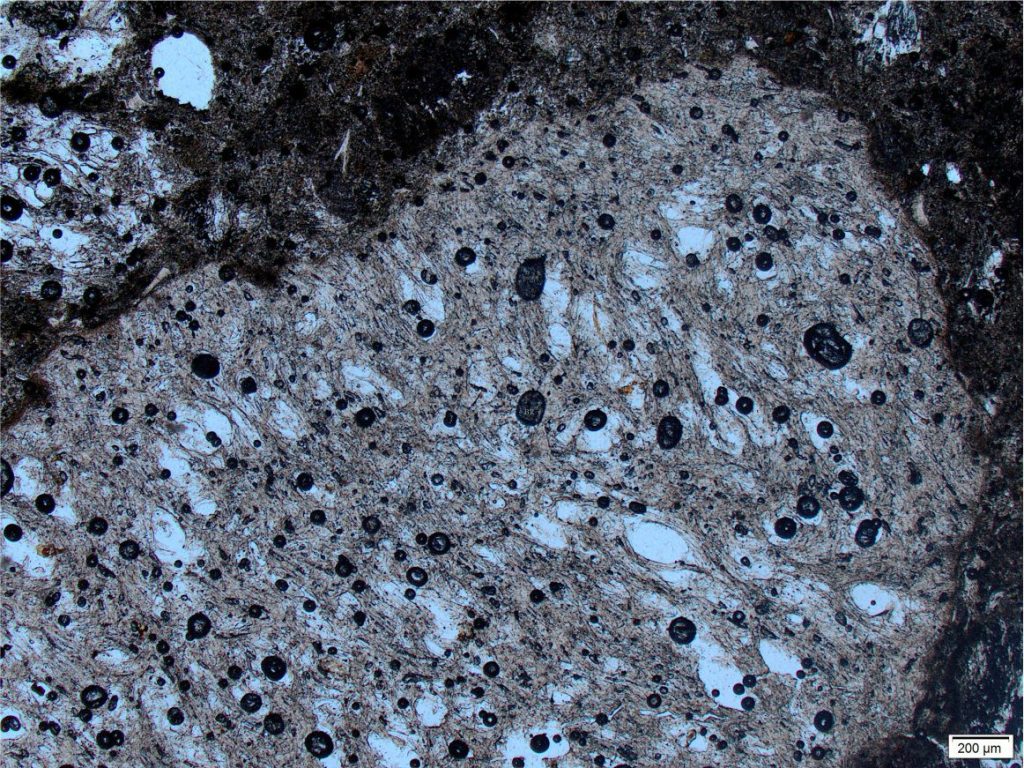 Pumice fragment showing good preservation of vesicles. Plain polarized light. Taupo Volcanic Zone, New Zealand.