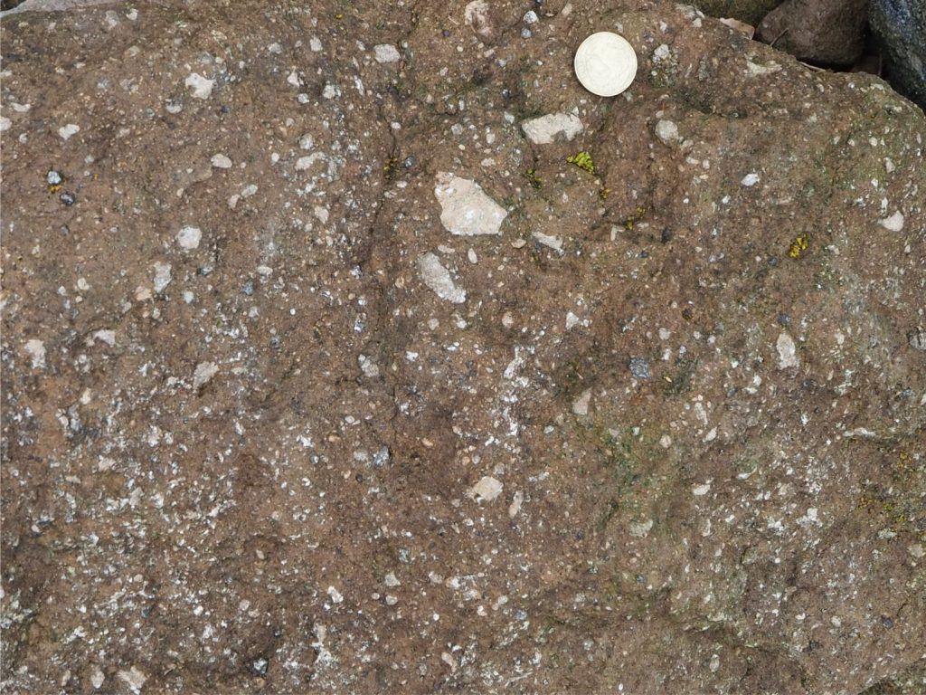 Non- to weakly welded, fine lapilli-sized pumice and rhyolite pyroclasts dispersed in much finer grained glassy ash. Note the variation in shape and angularity, and extremely poor sorting. Part of the Okataina Caldera (about 320 ka) exposed along the shore and road cut of Lake Rotoma. Taupo Volcanic Zone, New Zealand. Coin is 23 mm diameter.