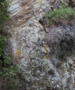 Another example of a fines poor BAF, this one sandwiched between flow banded rhyolites – that represent either lava flows or segments of lava domes. The base of the overlying flow has incorporated some blocks and sediment from the BAF (arrows). Outcrop is about 5 m high. Southeast shore of Lake Rotoma.