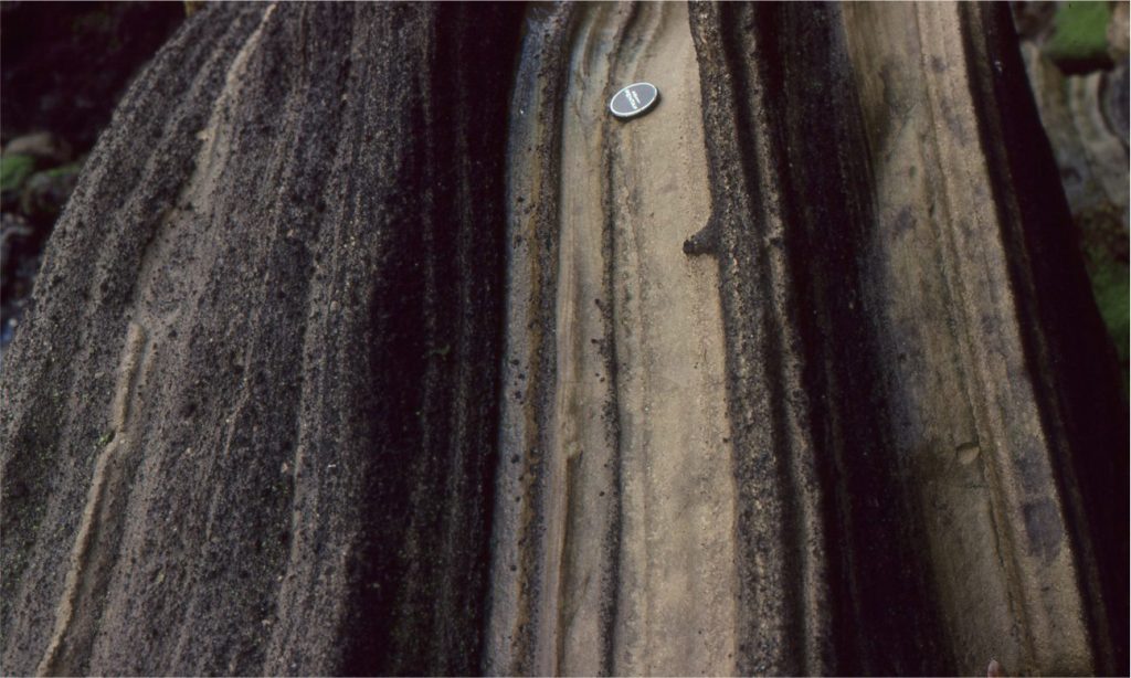 Late Pleistocene airfall ash and lapilli deposits deposited during an explosive (phreatomagmatic) maar eruption (Ihumatao, west Auckland, New Zealand). The darker layers contain greater proportions of basaltic lapilli. The lighter-coloured ash layers (at the lens cap) contain abundant accretionary lapilli.