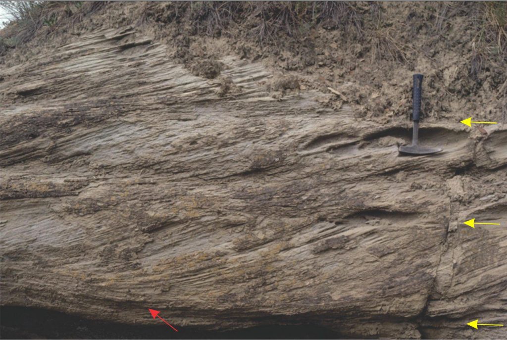 Stacked tabular crossbeds, a record of successive 2D bedform migration across a Cretaceous river channel sand bed (Dunvegan Fm. Alberta). Yellow arrows indicate crossbed set contacts. Foresets in all units have tangential basal contacts (red arrow). Some foresets also have tangential upper contacts and where these occur the foresets present a sinusoidal geometry. Flow was to the left.