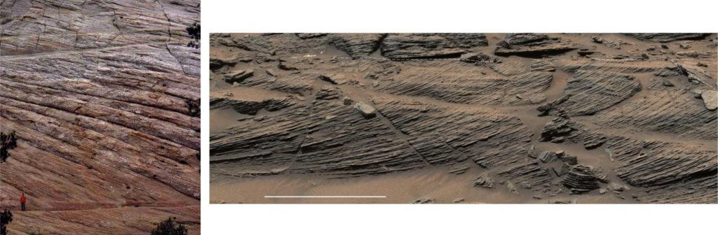 The kind of comparison that never ceases to amaze. Left: Very large, tabular-like crossbedding in the Jurassic Navajo Sandstone, spectacularly exposed at Zion National Park. The dune bedform containing these foresets, at least 18 m high, marched in unison with other dunes across the Middle Jurassic sand-sea. Right: Detail of dune crossbedding in the 3.7 – 2.9 billion year old Stimson formation, probably of aeolian origin, exposed in Gale Crater, Mars (see the recent paper by Banham et al. 2021, Open Access). Contact between crossbed sets is outlined by the dashed line. Note the strongly tangential foresets on lower left. Bar scale is 1 metre. Image credit: enlarged from NASA/JPL-Caltech/MSSS image PIA19818