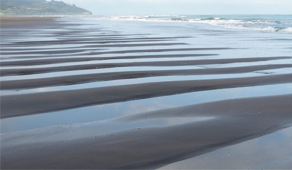 Straight crested, tabular dunes formed during an ebb tide. The dune crest azimuths are at a high angle to the shoreline because ebb runoff was diverted along the beach during the late stage of a storm surge. The lee faces (towards the viewer) were also modified by late-stage ebb runoff. Dune amplitudes are 5-8 cm, wavelengths 1.2 to 1.5 m. Raglan, New Zealand.