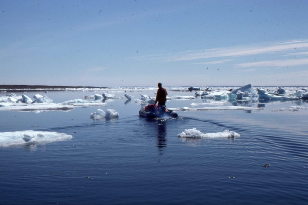 Negotiating a passage through remnants of sea ice, beginning the 1977 field season on Belcher Islands.