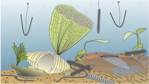 A sessile dendroid graptolite benthos. Dictyonema is attached to a spiriferid brachiopod that leans on a broken bivalve that is encrusted by a branching bryozoa. A trilobite lurks nearby. Buoyant Isograptus and Phyllograptus compete for food particles; a few Phyllograptus have become part of the sediment substrate.