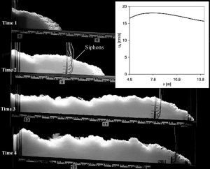 Controlled experiments on turbidity currents allow us to observe the dynamics of flows and the organization of their deposits. Phillip Kuenen and Carlo Migliorini (1950) conducted experiments like the one shown here – they were able to reproduce the kind of graded bedding observed in many outcrops, setting in motion a scientific rethinking of deep-sea sedimentary processes that still resonates today. The experimental flow shown above was designed to sample the concentration of sediment suspended in the turbulent plume over the duration of the flow (using siphons). Four time-lapse images show different stages of flow development, with two of the siphons at 8 m and 11.6 m from the flume inlet. The inset curve plots flow velocity with distance along the flow path. Image credit: Modified slightly from O.E. Sequeiros et al., 2009. Figure 5, Experimental study on self-accelerating turbidity currents. J Geophysical Research; Oceans