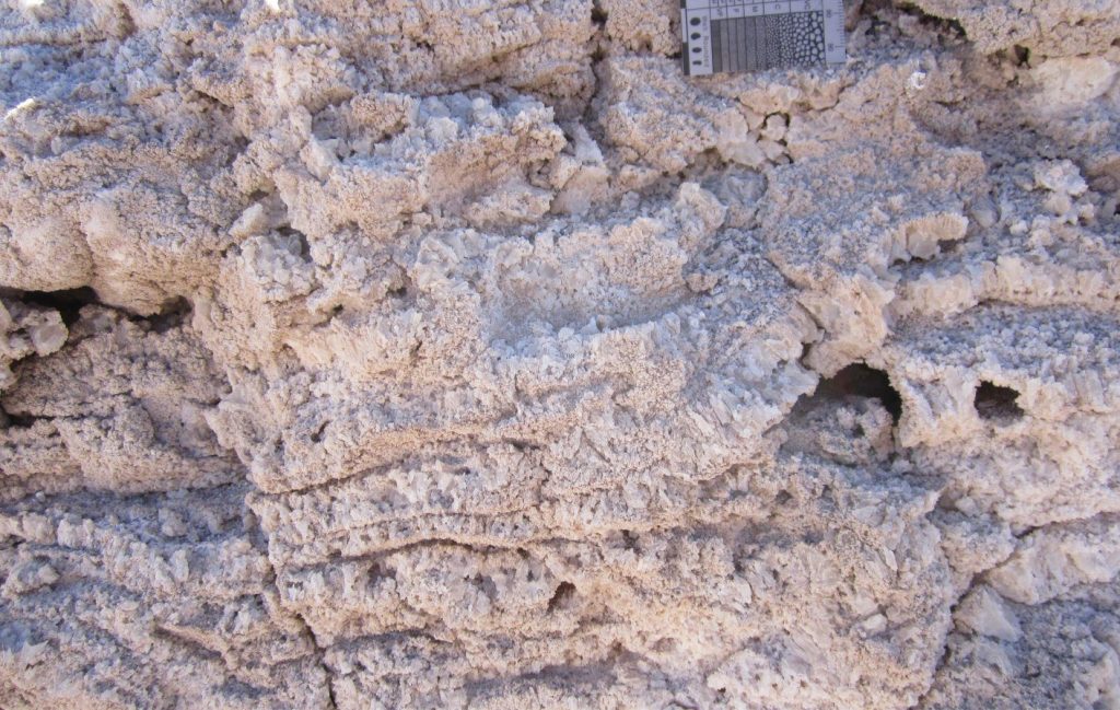 Thin wavy, undulating and discontinuous beds of gypsum that precipitated at the interface between a salt lake (salar) floor and the overlying brine. Each bed is about 20 mm thick. The gypsum crystals grew vertically from the salar floor. Chilean Altiplano. Probably Late Pleistocene.