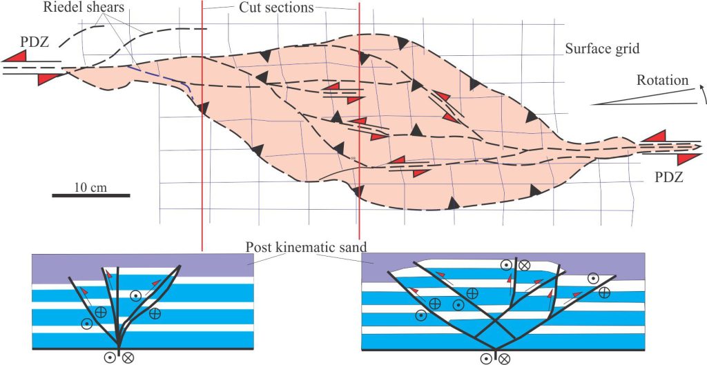 Sketch showing the topographic surface at the end of restraining bend deformation after 10 cm of pure strike-slip base plate displacement. The initial stepover angle was 30o. Resulting strain has been partitioned into several oblique slip, reverse faults – the strike-slip component of displacement is the same sense as the PDZs (sinistral). Larger faults are mechanically linked to the PDZs. The main part of the antiformal pop-up structure has been rotated 6o counterclockwise. Layering depicted in the two cross-sections has been simplified from the published examples. The faults form a characteristic positive flower structure close to the left PDZ and are more fan-shaped in the antiform popup centre. Both diagrams redrawn from McClay and Bonora, 2001 op cit., Figures 3e and 4. 