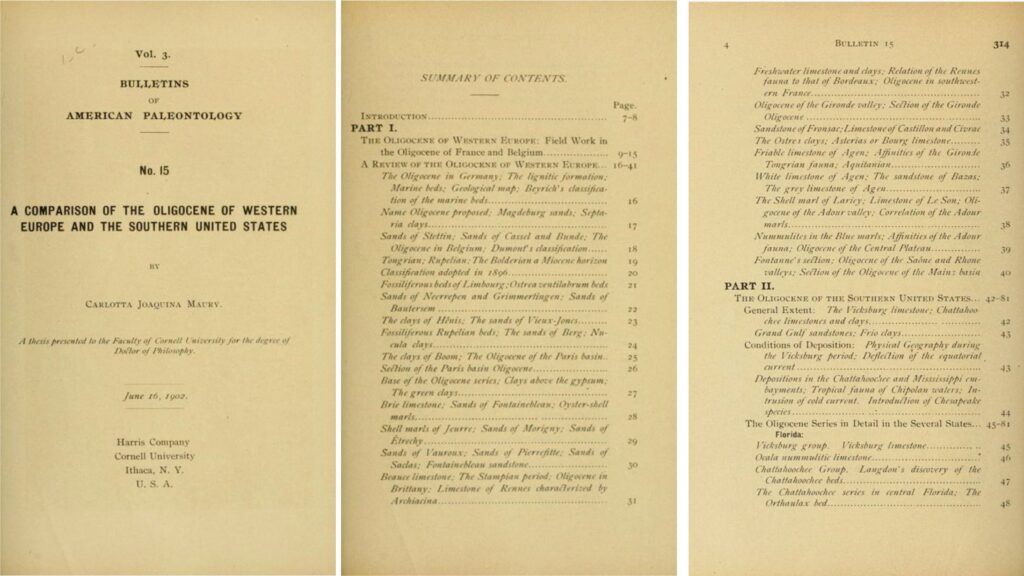 Carlotta Maury published her thesis in the Bulletin of American Paleontology, 1902. Extracted here are the first two pages of the ‘Summary of Contents’, showing the breadth of her investigations. 