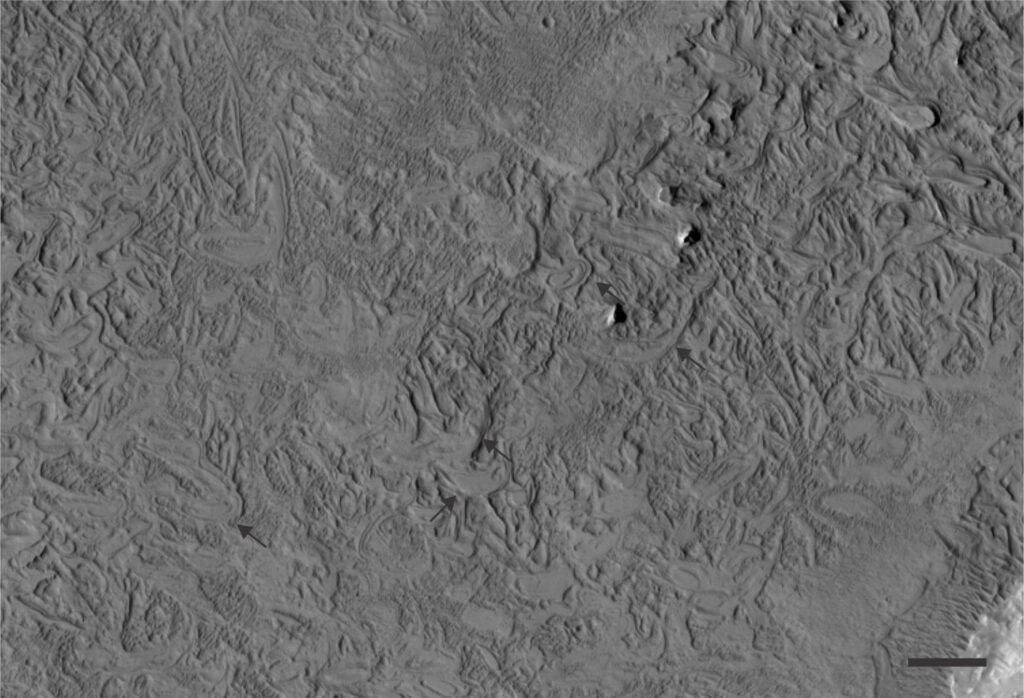 Part of the HiRISE stereo pair (raw) image ESP_020058_1865 (2010) from Barth Crater. The crater floor contains a myriad intersecting and overlapping arcuate ridges interpreted by Day et al., (2019, OA) to have the geometry of ancient barchan dune forms. The ancient dunes in this case were preferentially lithified and planed, leaving the bare outline of the original dune form. Arrows indicate a few of these structures. The crater also contains some modern sand dunes. Bar scale is 100 m. Raw image credit: NASA/JPL-Caltech/UArizona.