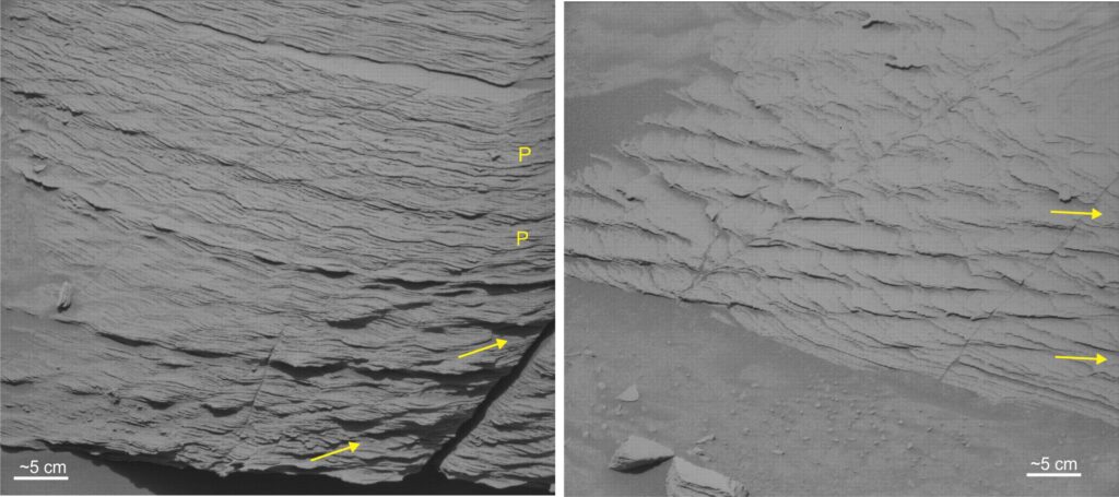 Some very nice climbing ripples from Gale crater. Left: Out of phase bedforms (Type 2) in the lower half of the outcrop have apparent climb angles of about 15o (arrows). In-phase ripples (P) in the upper section indicate a change in flow conditions and proportions of suspended sediment load. Right: Another section with Type 2 climbing ripples. Directions of flow and climb indicated. Scale in both is approximate. Image credits: NASA/JPL-Caltech/MSSS images 1414326 and 1447890.
