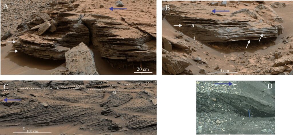 Planar crossbeds in stacked sets at (A) Whale Rock, Gale crater (Sol 796, PIA19081), in the Noachian Murray Formation;  (B) same location as A, (Sol 796, PIA19076);  (C) aeolian dunes beds from the Hesperian Stimson Formation flanking Mt. Sharp (Cropped from an image mosaic, Sol 1087, PIA19818),   and (D) a profile section through a modern braided river bar-top subaqueous dune, Yukon. All the planar crossbed sets have characteristic planar bounding surfaces (arrows in A, B, dashed lines in C), tangential foreset basal contacts (t), and truncated foreset upper contacts (a).