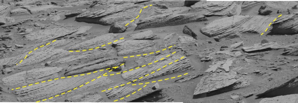 Festooned trough crossbeds in medium-grained sandstone exposed on a surface that approximates bedding. Basal bounding surfaces are characteristically concave (dashed lines); the festooned pattern reflects truncation of bedforms that migrated across earlier-deposited dunes. Foresets are concave, their basal contacts tangential. The picture is a mosaic of three raw images taken by Curiosity rover Mastcam on Sol 3894. Field of view is about 5 m wide.  Image credits: NASA/JPL-Caltech/MSSS