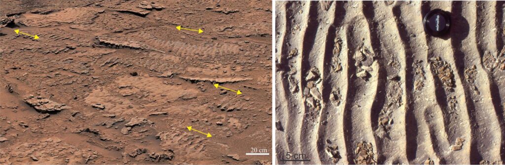 Left: Bedding exposure of symmetrical ripples in thin-bedded sandstone, in the Hesperian Mirador Formation, Gale crater. Amplitudes are 1-1.5 cm and wavelengths about 5 cm, which means that the wave sets that produced these bedforms were also low amplitude in shallow water. The directions of wave transit vary slightly from bed to bed (arrows); we cannot infer actual wave approach from these structures alone, but we can infer the approximate paleoshoreline orientation. Mondro et al., 2025 describe these bedforms in detail. Curiosity Mastcam, Sol 3674 – 03228.   Right: Bedding exposure of symmetrical ripples from the Eocene Eureka Sound Group, Ellesmere Island. Lens cap is 50 mm diameter. These ripples have similar dimensions to those in Gale crater.