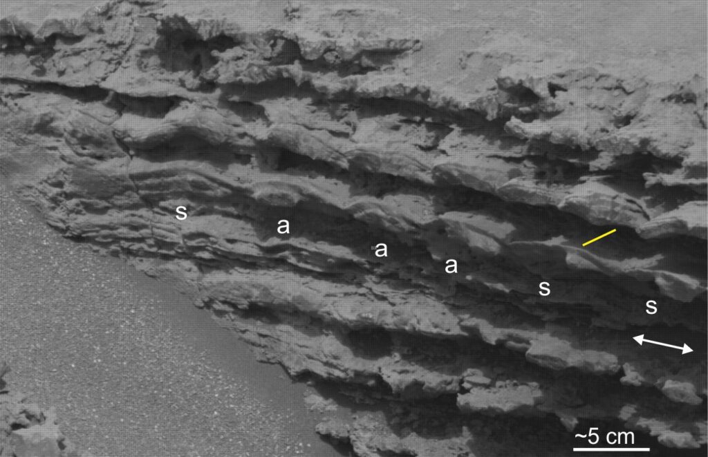 Profile through symmetrical ripple-bedded fine-grained sandstone, Mirador Formation, Gale crater. (s) indicates symmetrical; (a) indicates slightly asymmetrical. The internal structure of each ripple preserves lee and stoss faces, most obvious in the left-most bedform over the ‘s’. Amplitudes are 1-2 cm, wavelengths 5-8 cm. The inferred wave motion is indicated by the double arrow. The yellow line parallels the strike of the crest lines. Curiosity Mastcam raw image, 1139767, Sol 3643. Image credit: NASA/JPL-Caltech/MSSS.