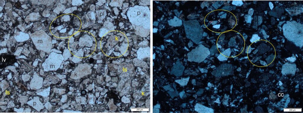Typical greywacke from the Paleoproterozoic Omarolluk Fm. Belcher Islands. Framework consists of monocrystalline (m) and polycrystalline quartz (p). Plagioclase (pl,) and potassium feldspar (k) tend to be cloudy in PPL because of alteration to sericite, chlorite and possibly clays (examples in circled area). Sericite is a white mica and a common alteration product of feldspar. Fibrous chlorite gives grains and matrix a greenish hue. There are small patches of calcite replacement of feldspar (cc). The few muscovite flakes are partly altered to chlorite.