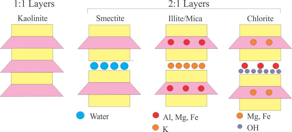 Schematic representation of the main clay mineral groups based on their 1:1 and 2:1 layering (tetrahedral sheets in yellow; octahedral sheets pink). The simplest structures are 1:1 in which kaolinite is the common representative mineral. The 2:1 mineral groups are differentiated by their cation composition in the octahedral sheets, and the composition of their interlayers. Water molecule interlayers are responsible for the swelling properties of the smectites. Interlayers in the mica and chlorite groups are occupied by different cations and, in the case of some chlorites, hydroxyl anions. Diagram is modified from Hillier, 1978 op cit, and Al Ani and Sarapää, 2008 op cit.